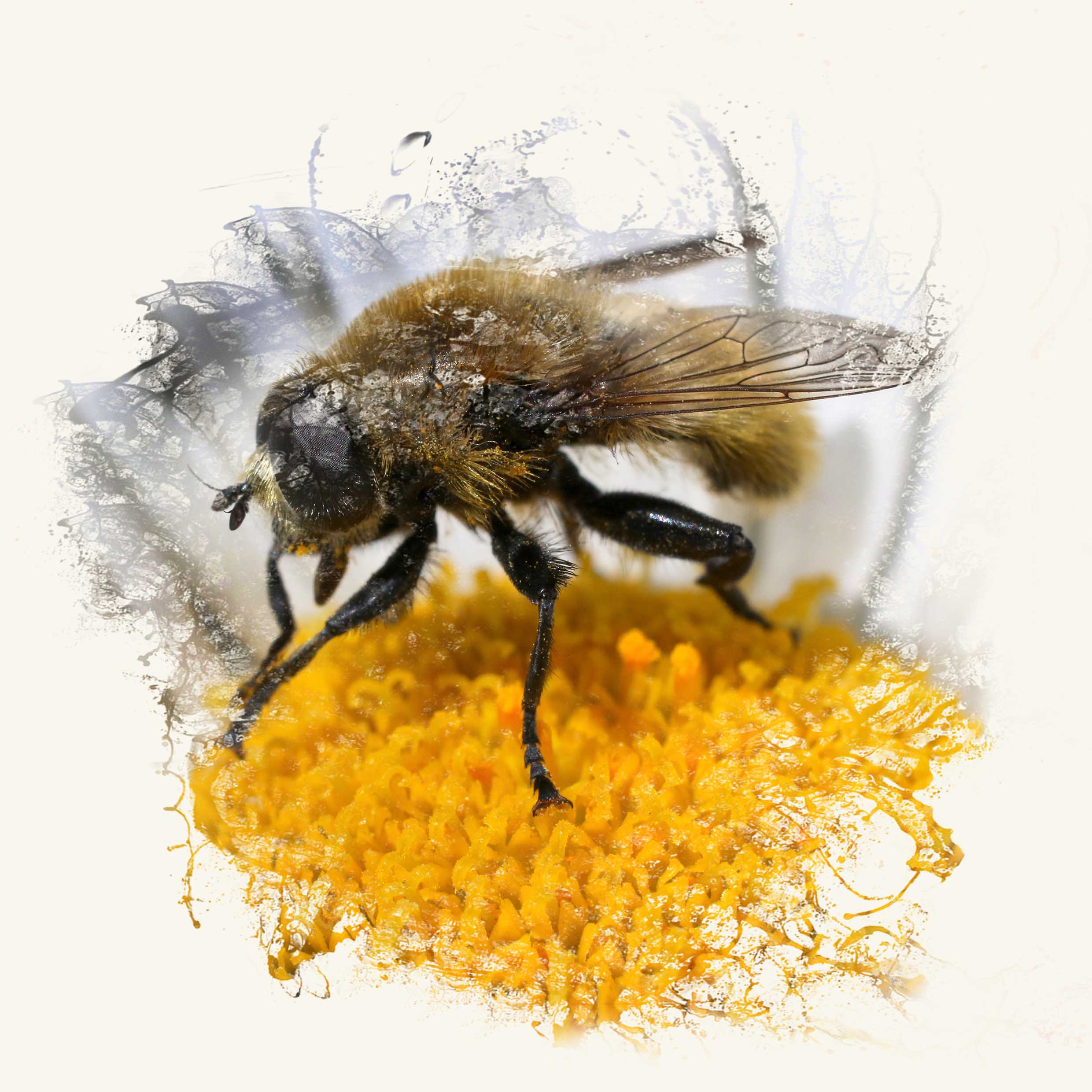 A Natural Production